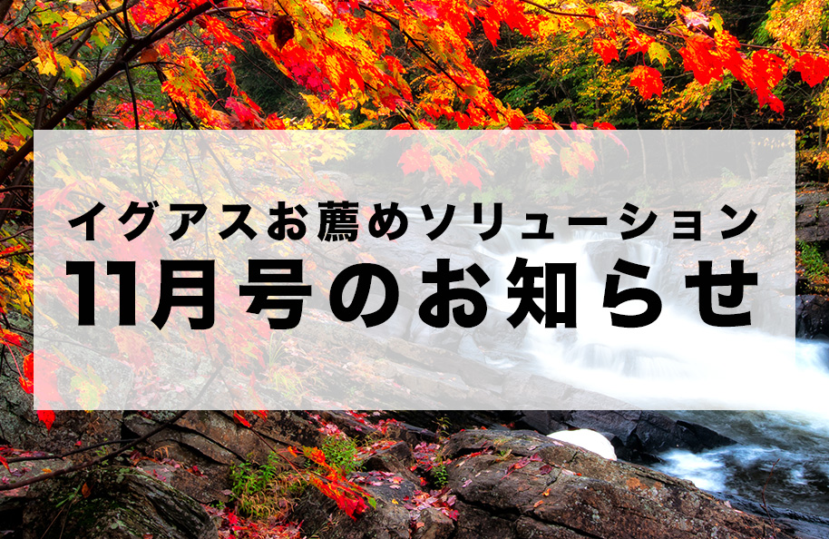 「イグアスお薦めソリューション」11月号のお知らせ